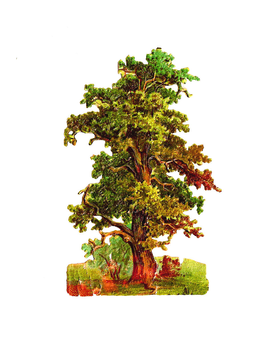 Back   Gallery For   Rustic Oak Tree Silhouette Clip Art