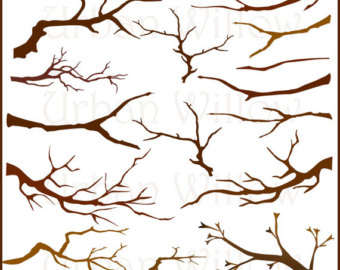 Bare Branches   15 Clip Art Rustic Branches Png Jpeg   Adobe
