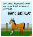 Funny Birthday Clip Art   Funny Birthday Card   Clip Art Horse Play