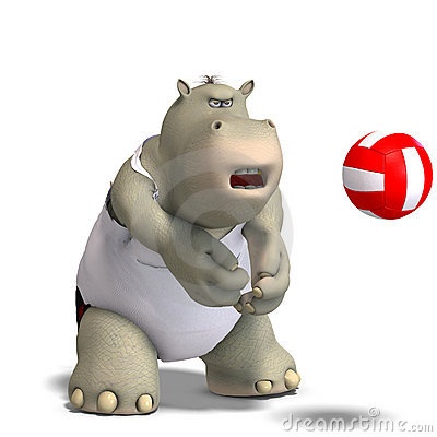 Funny Hippo Plays Volleyball   Hippos For A Friend S Passion    Pinte