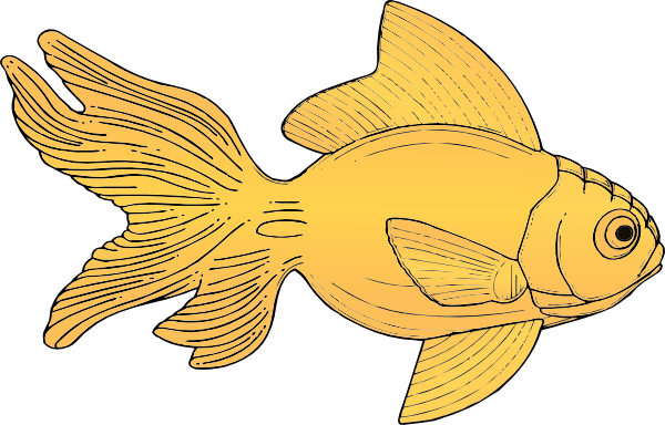 Gold Fish Clipart Gold Fish Cartoon China Gold Fish