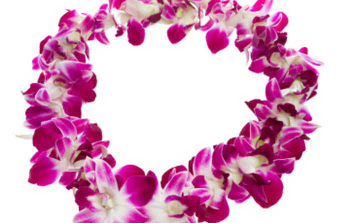 Lei Greeting In Kona   Lonely Planet   Clipart Best   Clipart Best