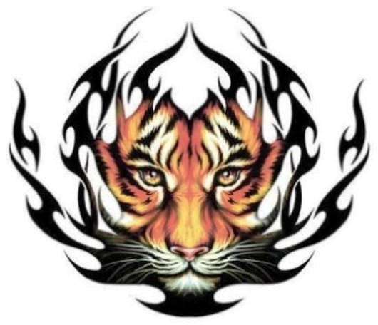 Tiger Eyes Tattoo   Clipart Panda   Free Clipart Images