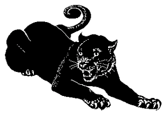 Black Panther Paw Print
