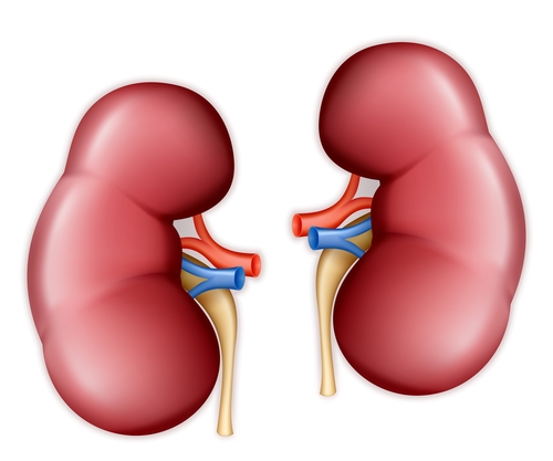 Chronic Kidney Disease  Ckd   How It Affects Bariatric Surgery