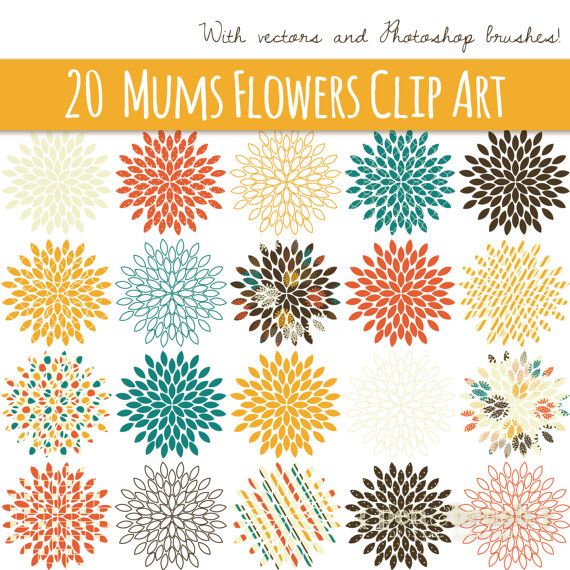 Free Mum Flower Clip Art   Autumn Mums Flowers Clip Art    Vector