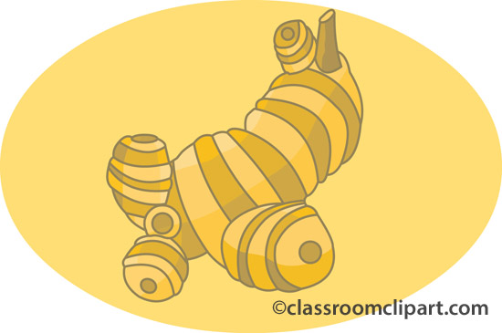 Herbs And Spice   Galangal   Classroom Clipart