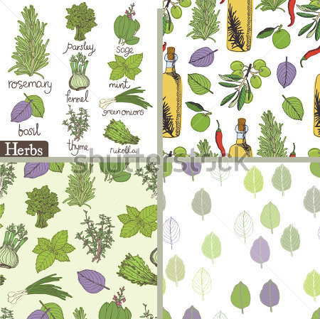 Herbs And Spices Set Jpg