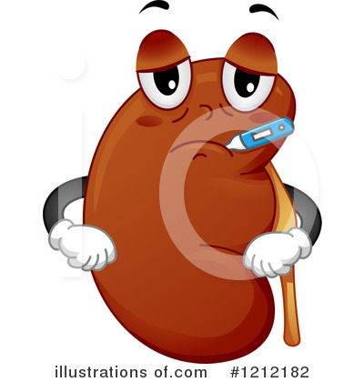 Kidney Clipart  1212182 By Bnp Design Studio   Royalty Free  Rf  Stock    