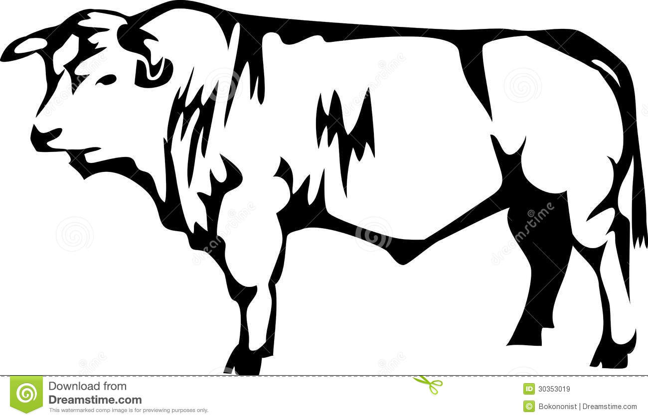 Black And White Illustration Of Beef Breed Bull