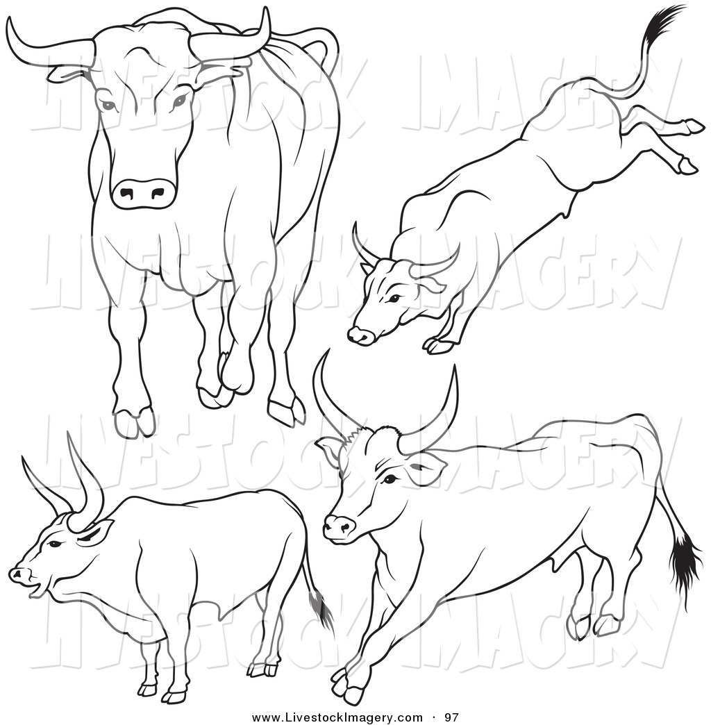Clip Art Of A Digital Set Of Black And White Bull Outlines Over Solid
