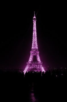 Light Switch Plate Cover   Eiffel Tower   Paris My Love   Plum Purple