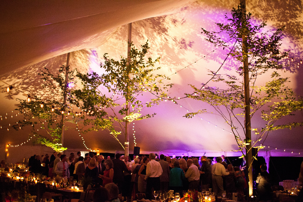 Wedding Tents With Lights Wedding Tent With Tree
