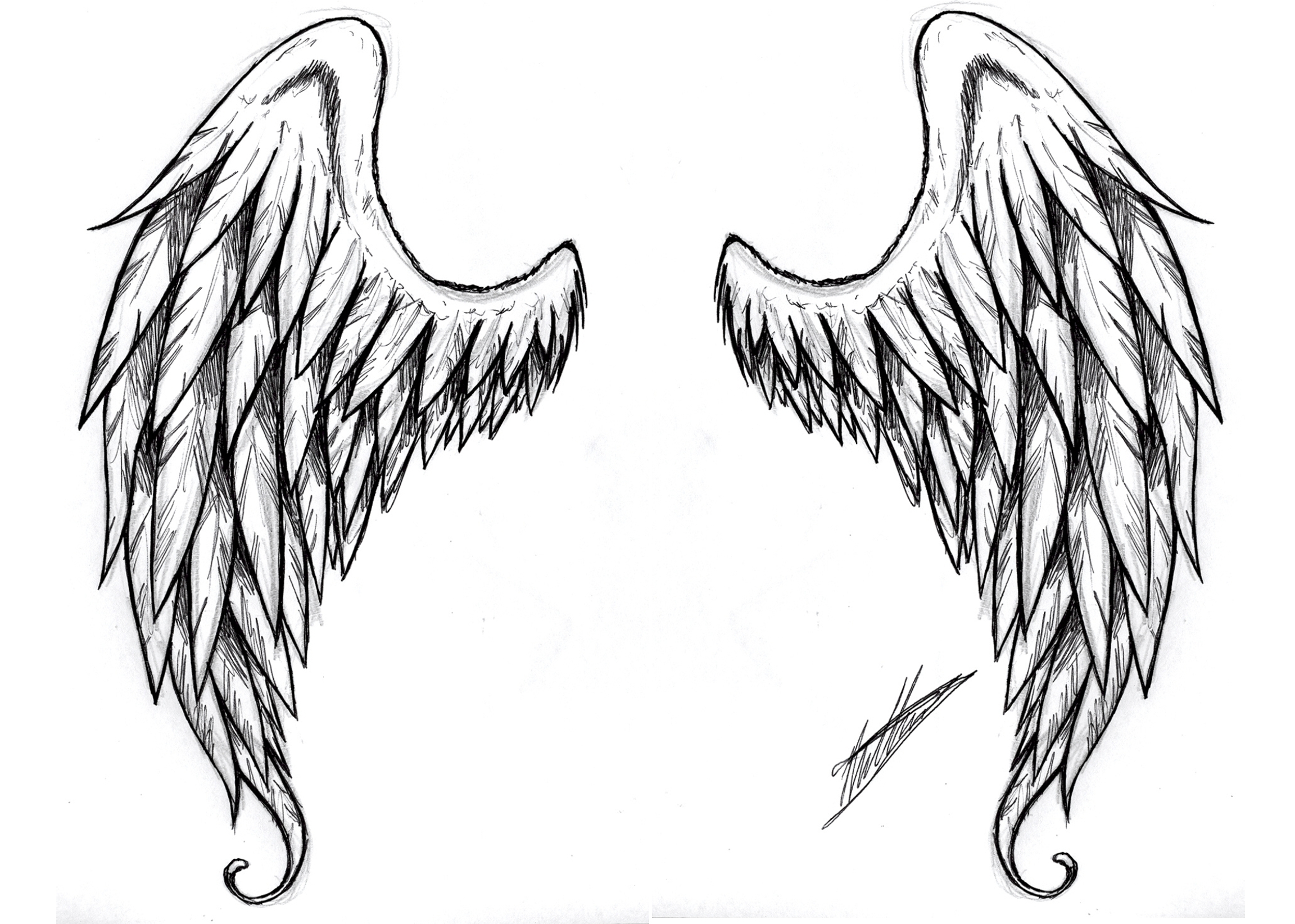 Angel Wings Tatoo By Spirogs   Free Images At Clker Com   Vector Clip    