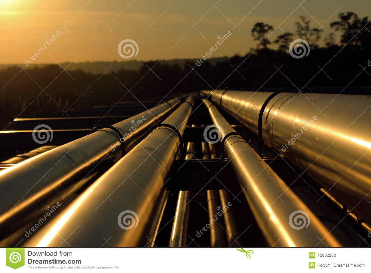 Golden Pipeline Connection From Crude Oil Field Stock Photo   Image
