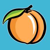 Peach Fruit Clipart And Stock Illustrations  430 Peach Fruit Vector