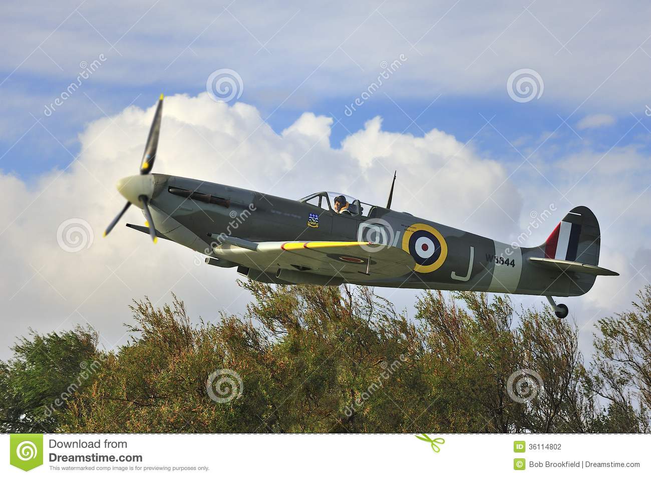 Spitfire Memorial W3644 Editorial Photography   Image  36114802