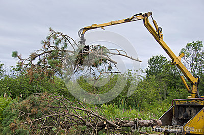 Wood Chipper Stock Images   Image  26185154