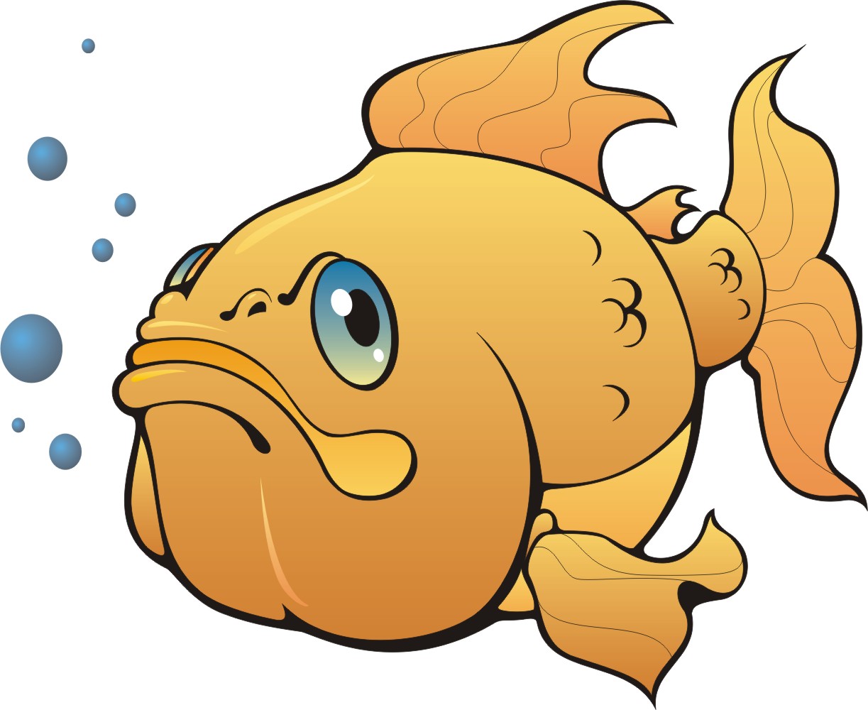 Animated Fish   Clipart Best