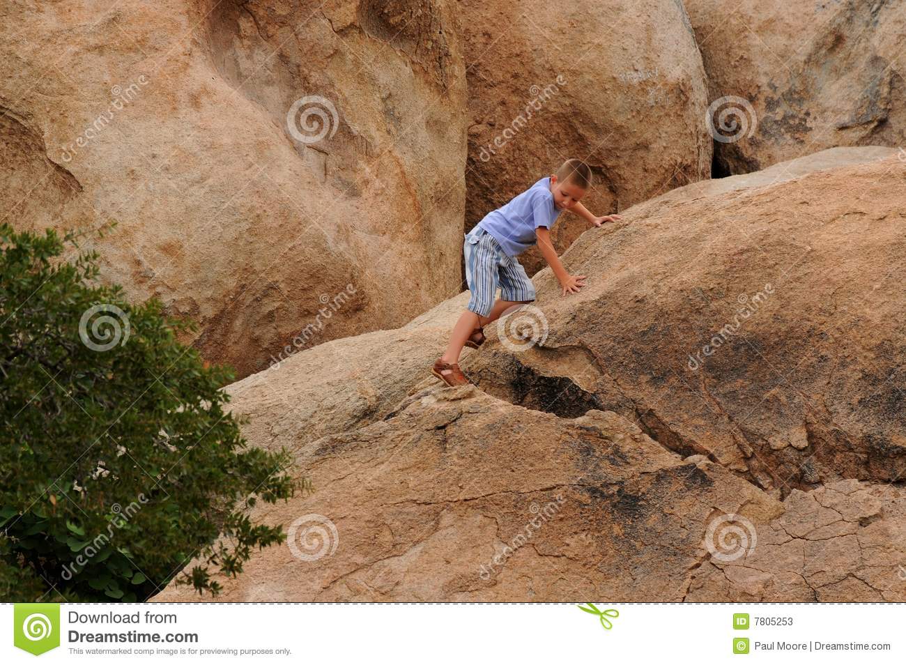 Boy Climbing On Rocks Stock Photos   Image  7805253