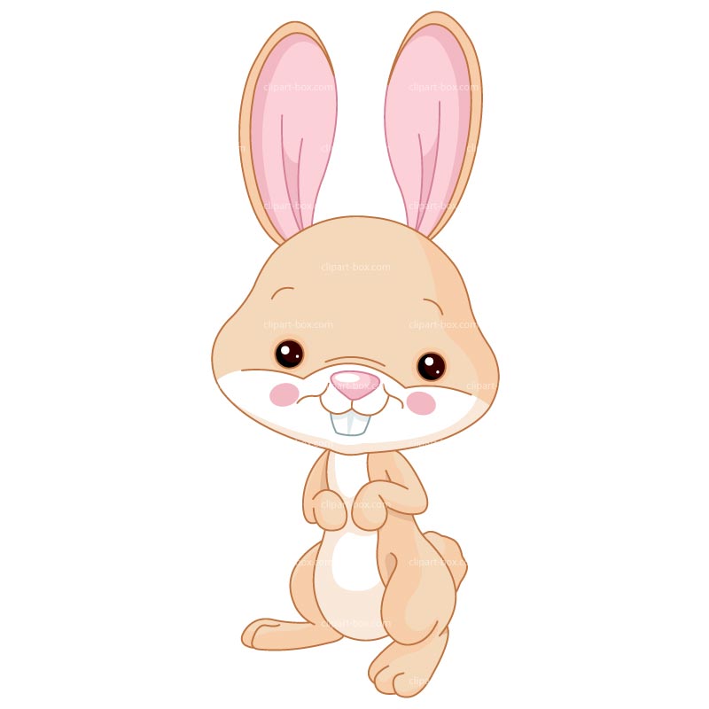 Clipart Cute Bunny   Royalty Free Vector Design