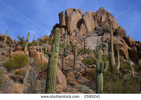 Desert Scenic With Big Boulder Rocks Giant Saguaro Cactus Brush And