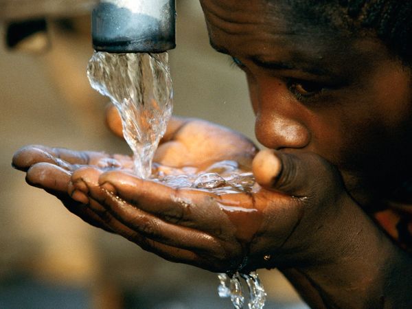 Drinking Water Photos    National Geographic