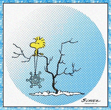 Pics   Gifs   Photographs  Peanuts Woodstock Animated Gifs For Winter