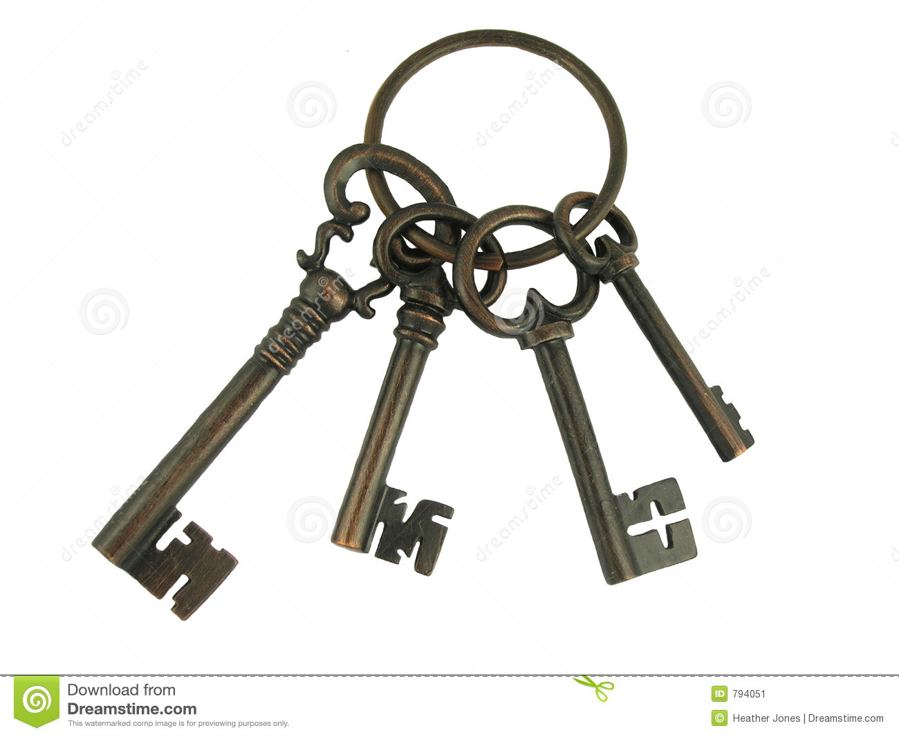 Skeleton Keys On A Ring     Keys To Success Keys To Happiness Keys