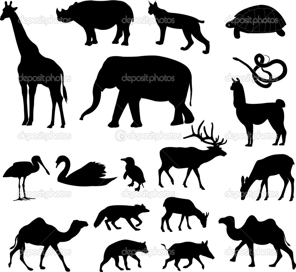 Animals Silhouettes Stock