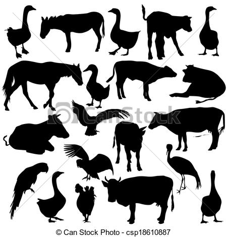 Black Set Silhouettes Zoo Animals Collection On White Background
