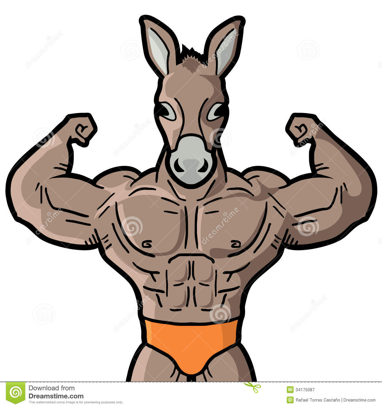 Muscle Horse Man Royalty Free Stock Photography   Image  34175087