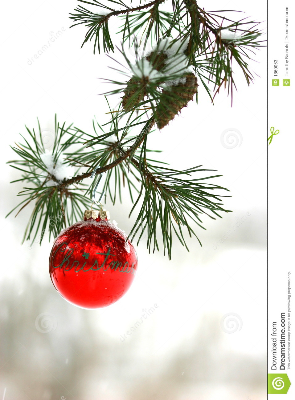     Photos  Red Christmas Decoration On Snow Covered Pine Tree Outdoors