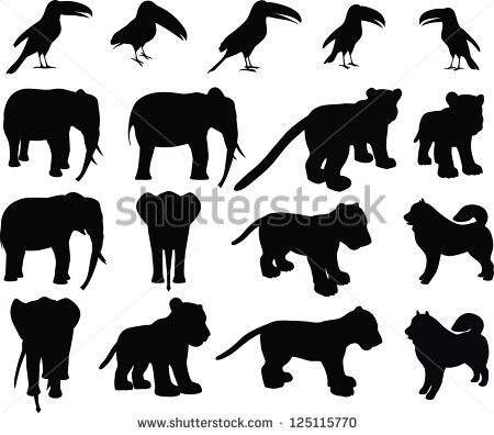 Zoo Animals Collection Set Of