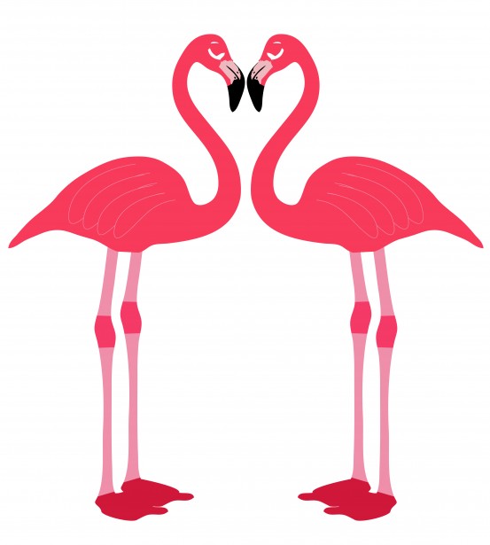 Flamingo Birds Love Heart Free Stock Photo   Public Domain Pictures