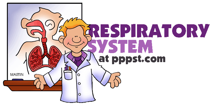 Free Powerpoint Presentations About Human Respiratory System