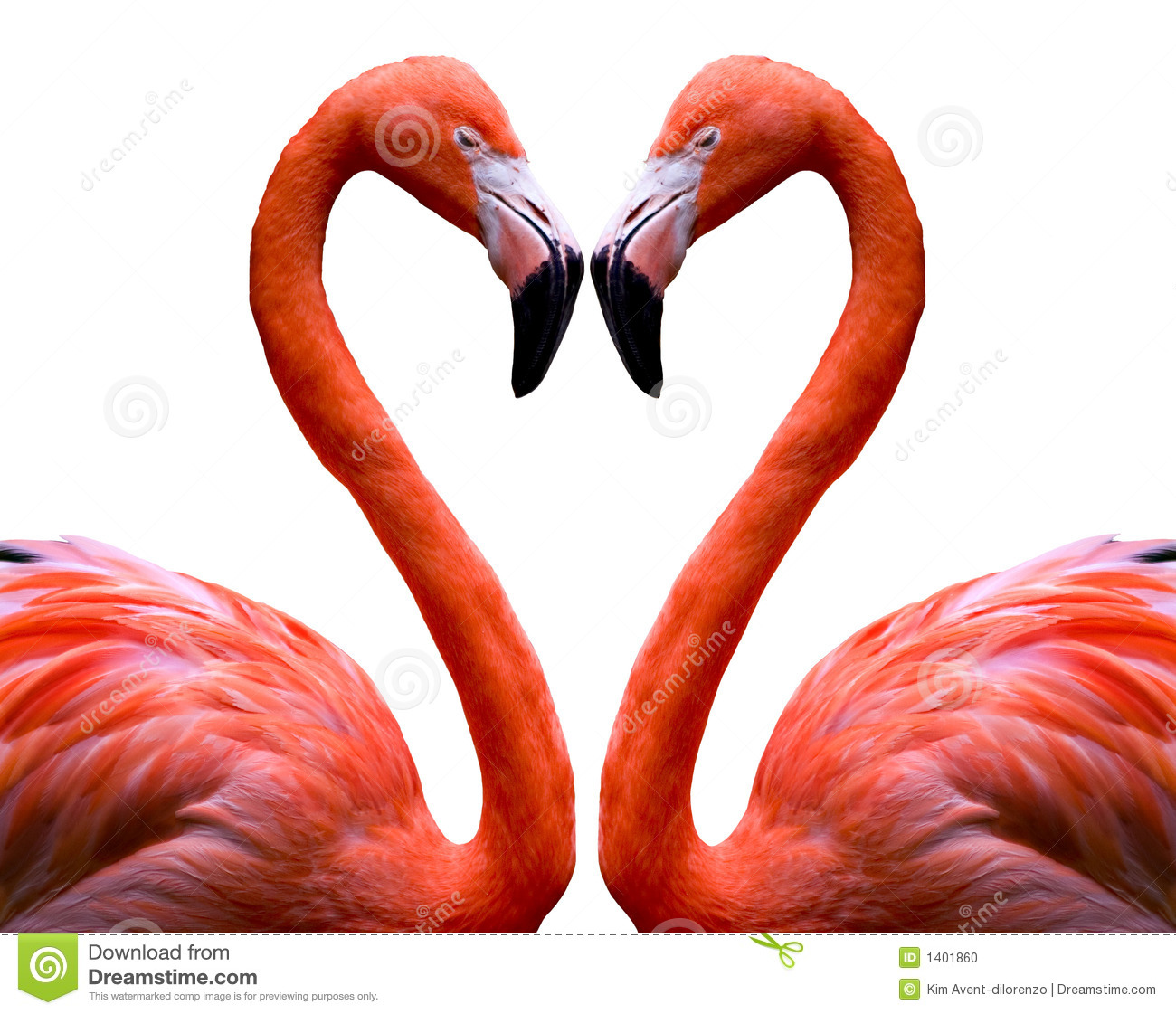 Heart Shape Made From Two Flamingoes On A White Background 