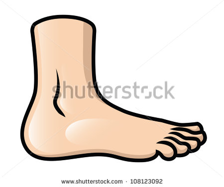 Illustration Of A Cartoon Foot In Side View  Raster    108123092