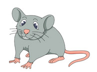 Mouse Clipart And Graphics