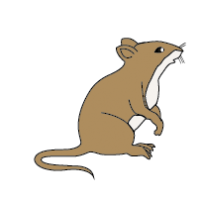 Mouse Clipart Archives   Animal Clip Arts