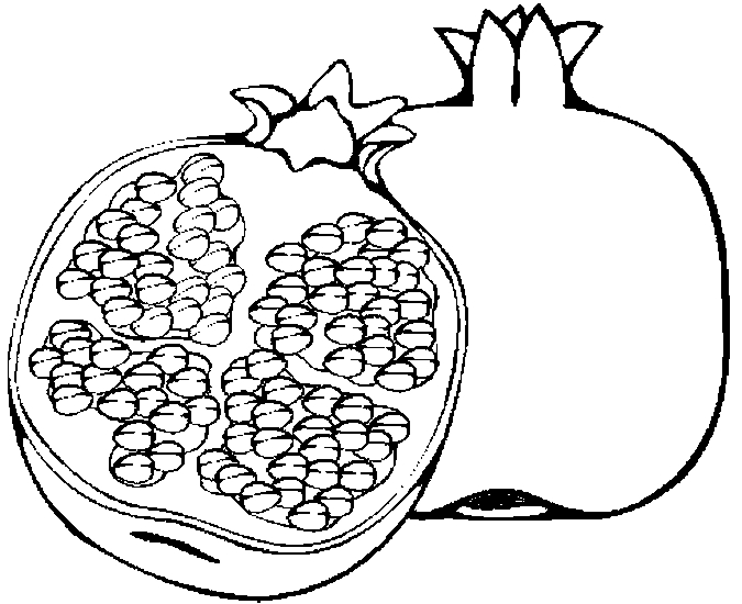 Pomegranates 1 2 03 01 Pm 2 03 25 Pm Fruits 4 Coloring Page