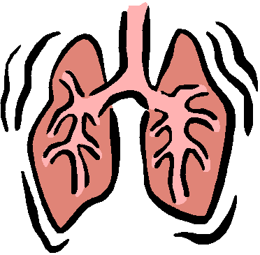 Respiratory Therapy Clip Art   Clipart Best