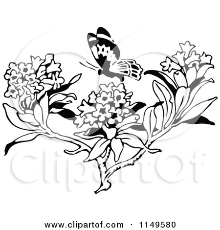 Royalty Free  Rf  Pollination Clipart   Illustrations  1