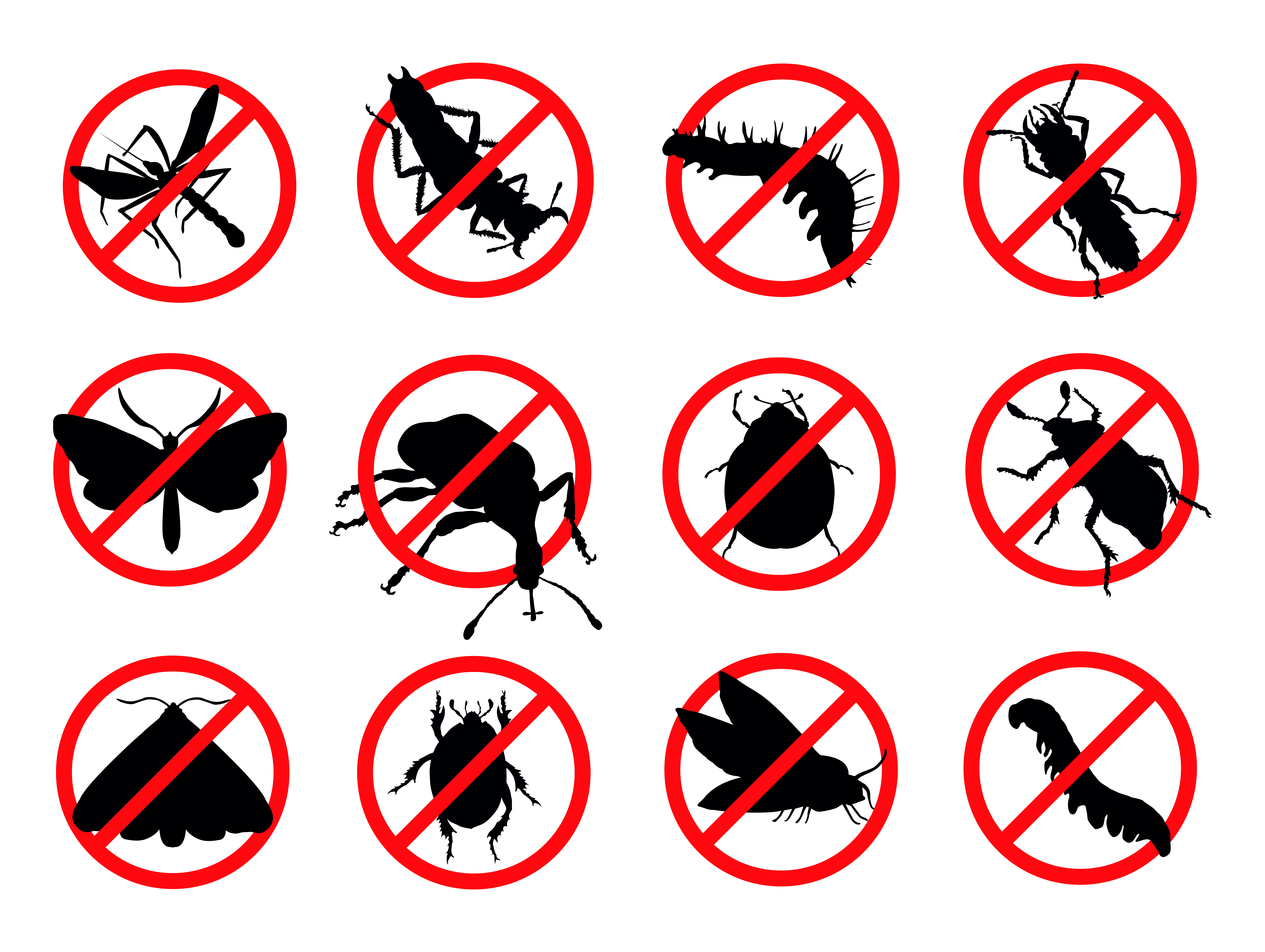 Tips On Choosing The Right Pest Control Company In Singapore