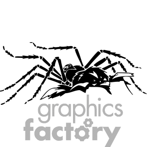 143 Spider Clip Art Images Found
