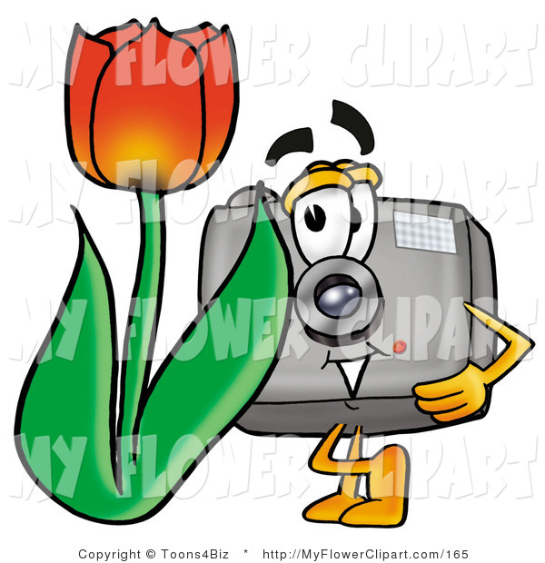 Clip Art Of A Digital Camera Mascot Cartoon Character With A Red Tulip