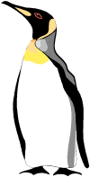 Emperor Penguin Clipart