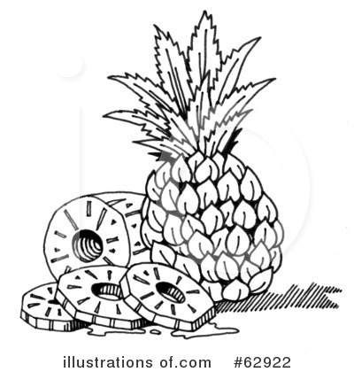Gallery  Pineapple Drawing Images