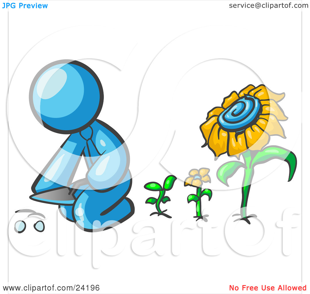 Growing Plant Stages   Clipart Panda   Free Clipart Images