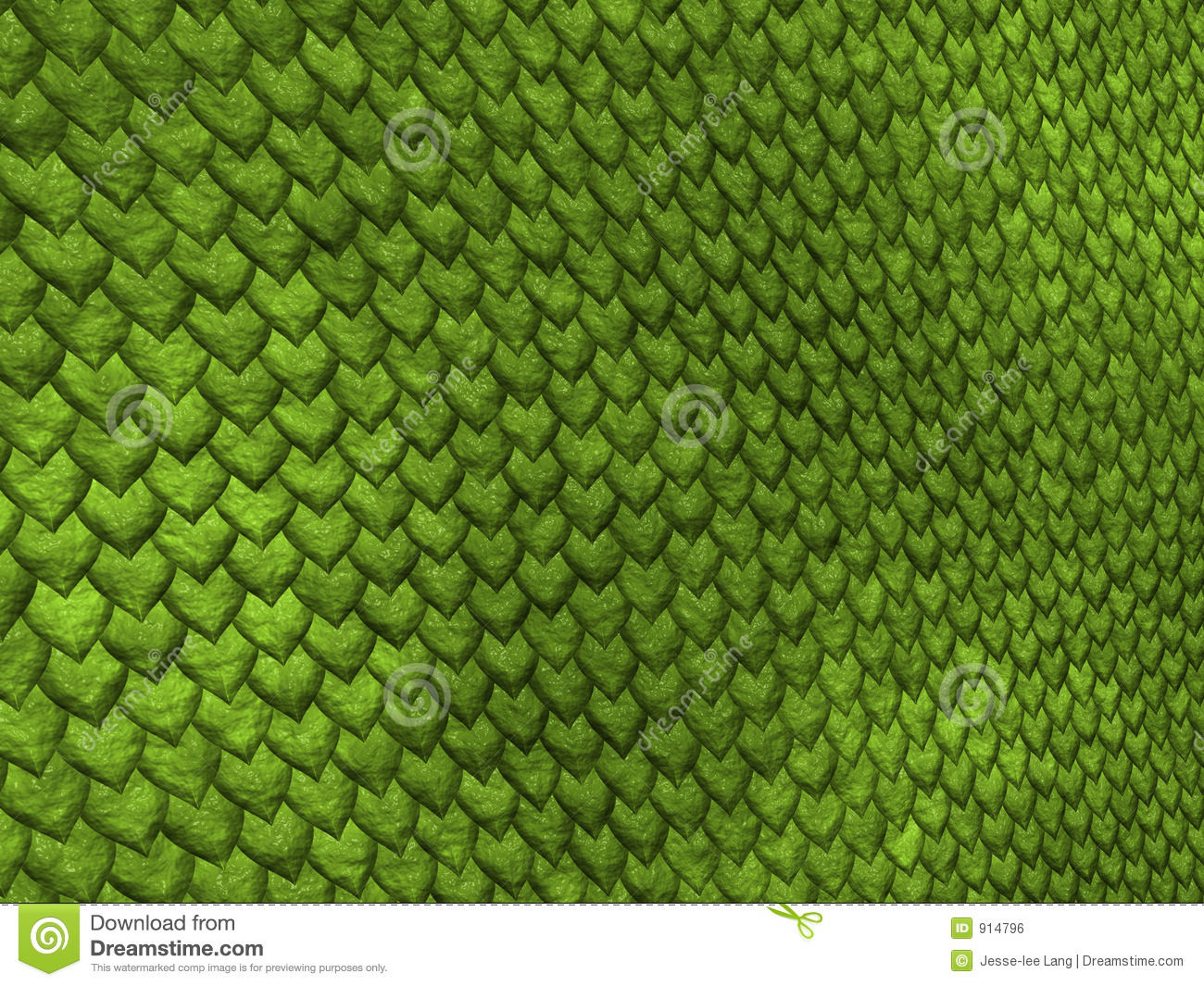 Lizard Scales Royalty Free Stock Image   Image  914796